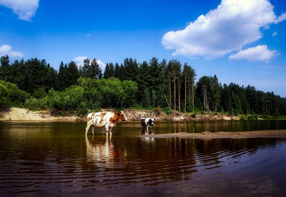 Photograph by Светлана Перминова