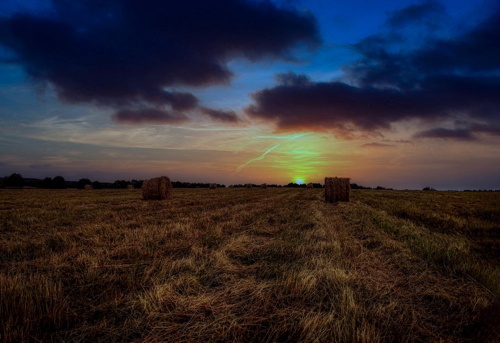 Photograph by Светлана Перминова
