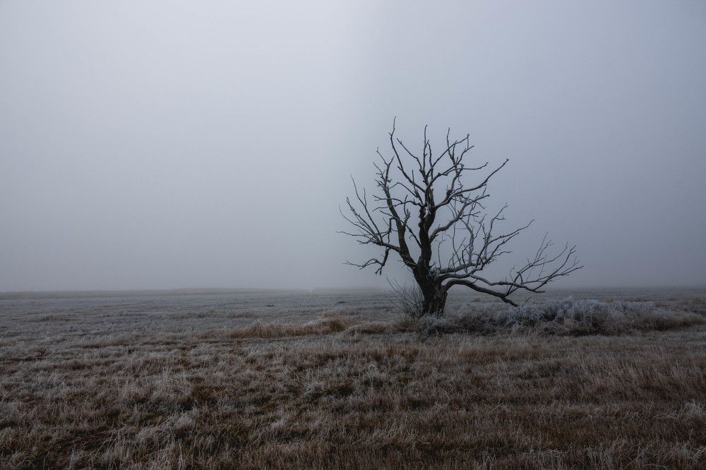 Photograph by Константин Шишкалов