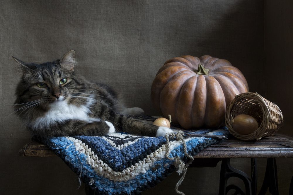 Хранитель запасов