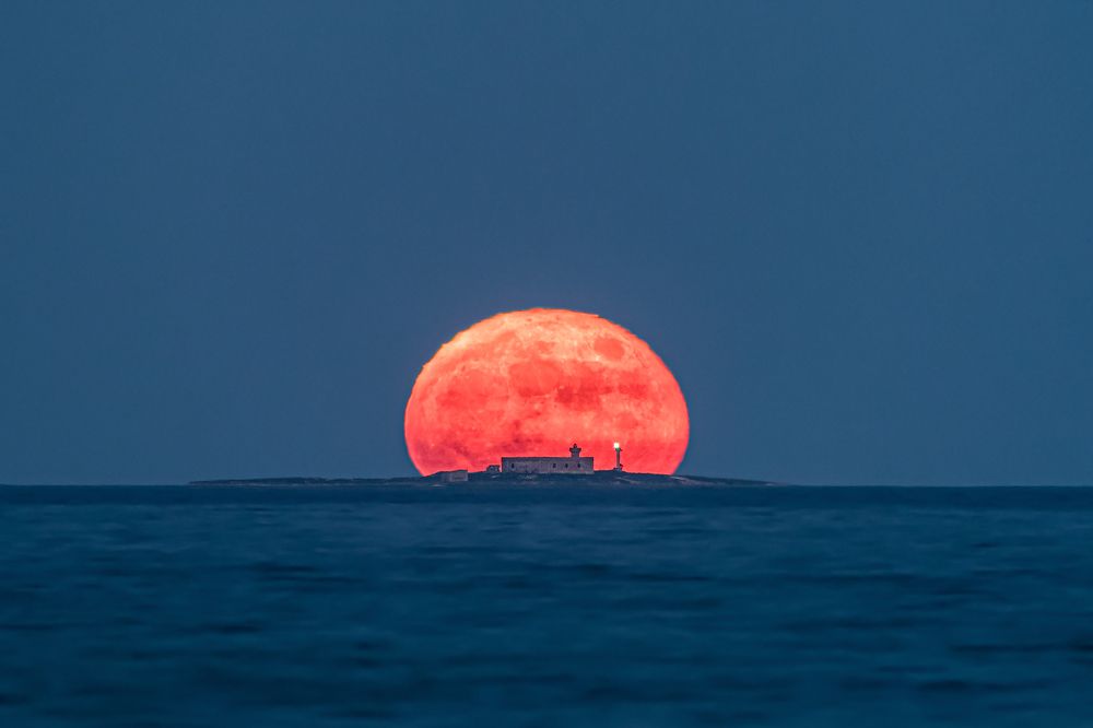 Photograph by Massimo Tamajo