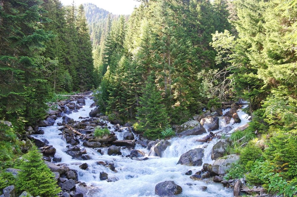 Photograph by Ирина Дронова