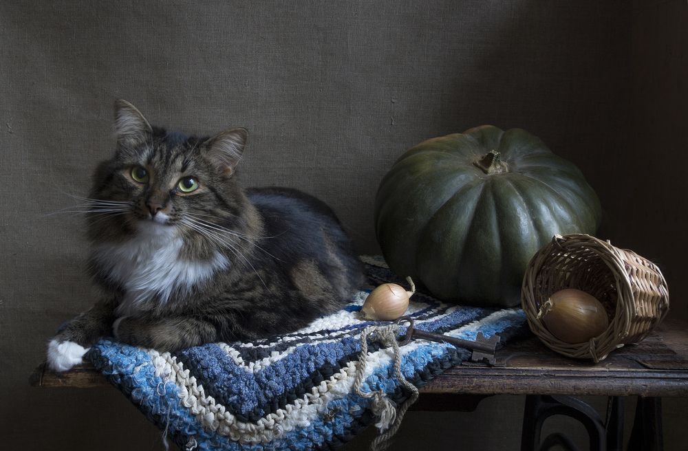 Хранитель запасов