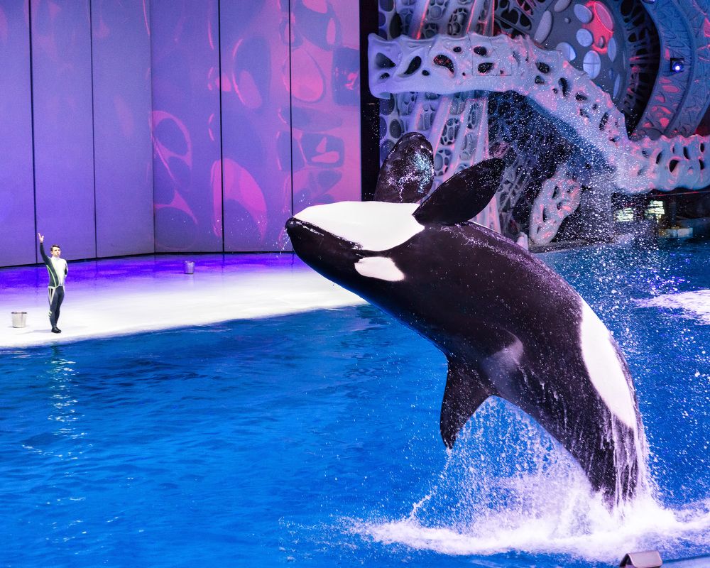 Photograph by Валерий Петухов