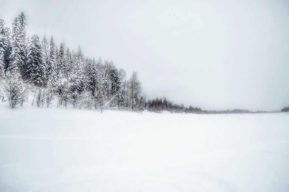 Сквозь туман. Through the fog