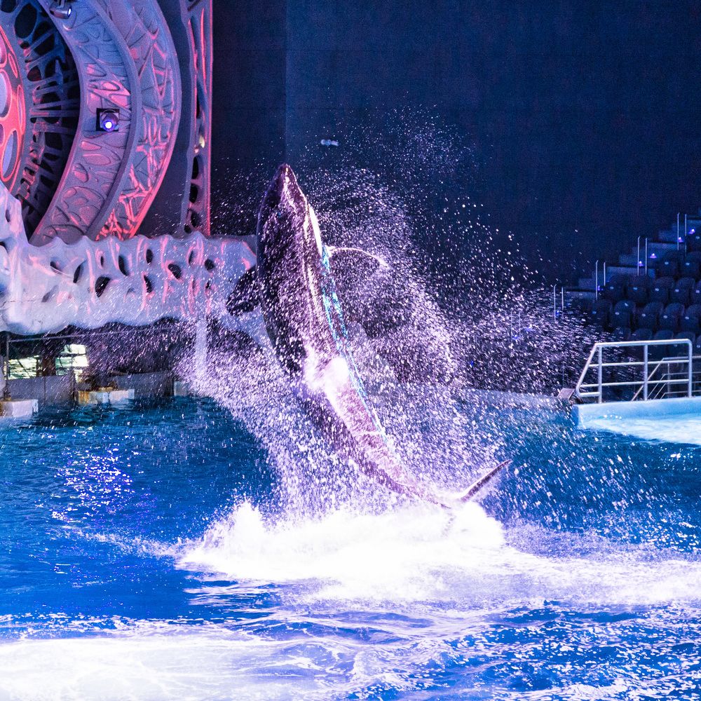 Photograph by Валерий Петухов