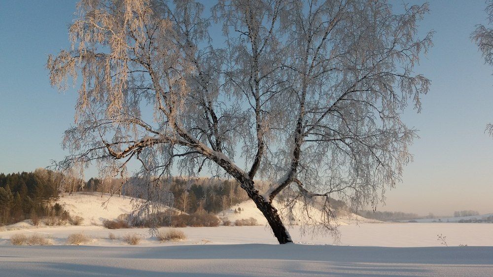 Photo #7161670