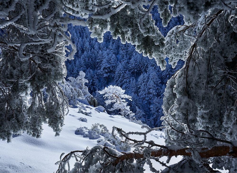 Photograph by Oscar Lata