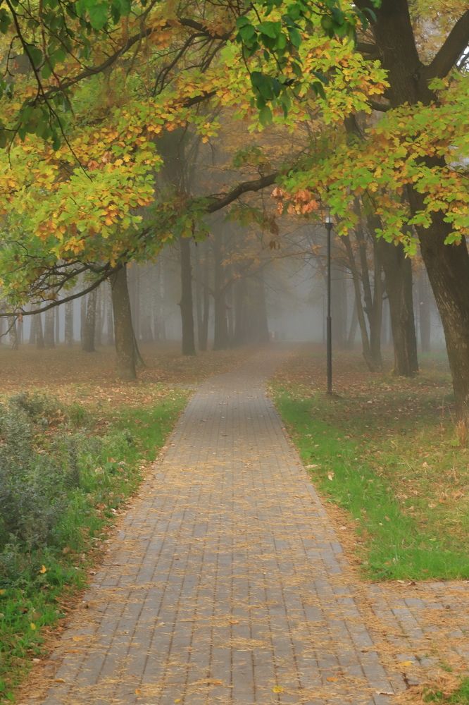 Photograph by Владимир Урбанович