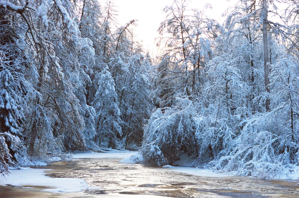 Photograph by Светлана Муравьева