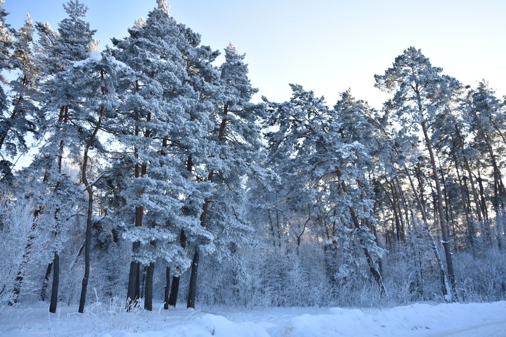 Photograph by Наталья Ивочкина