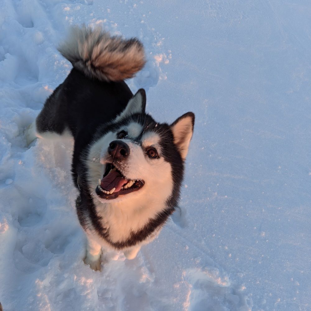 Photograph by Ершов Евгений