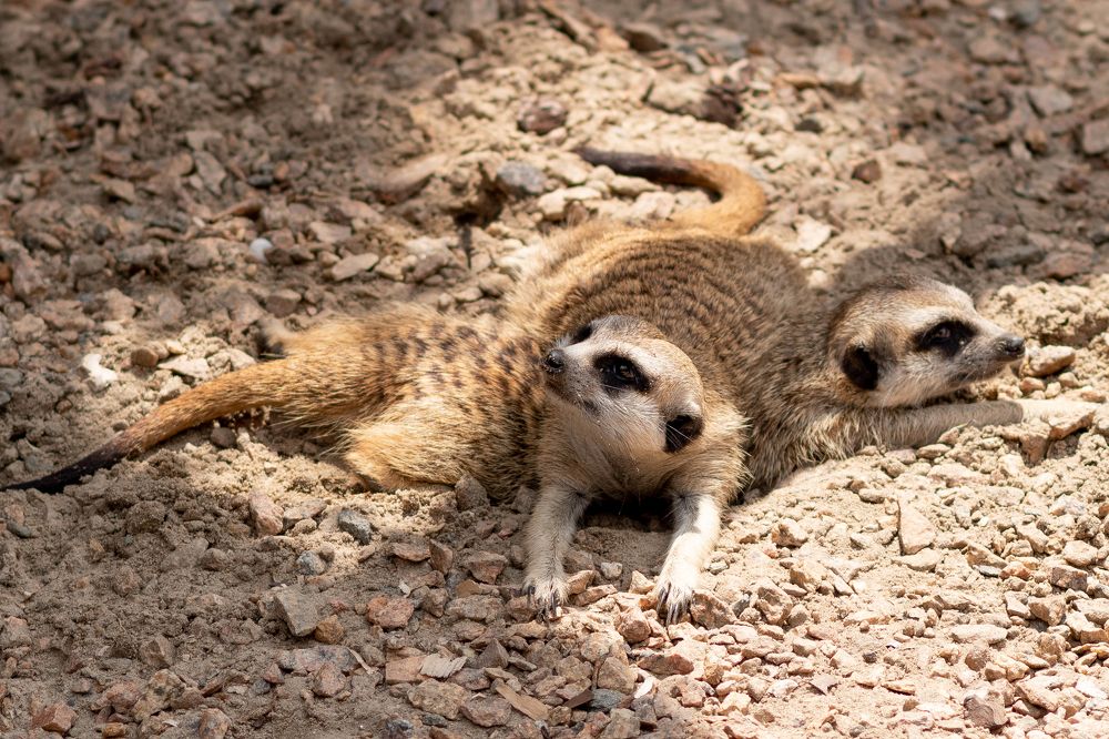 Photograph by Elisabeth