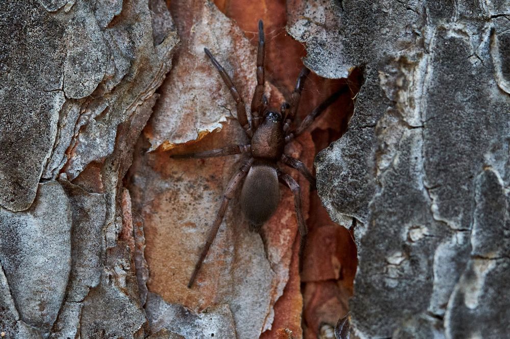 Фотография автора Игорь Игоревич