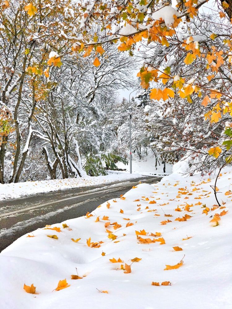 Photograph by Артём Мелетов