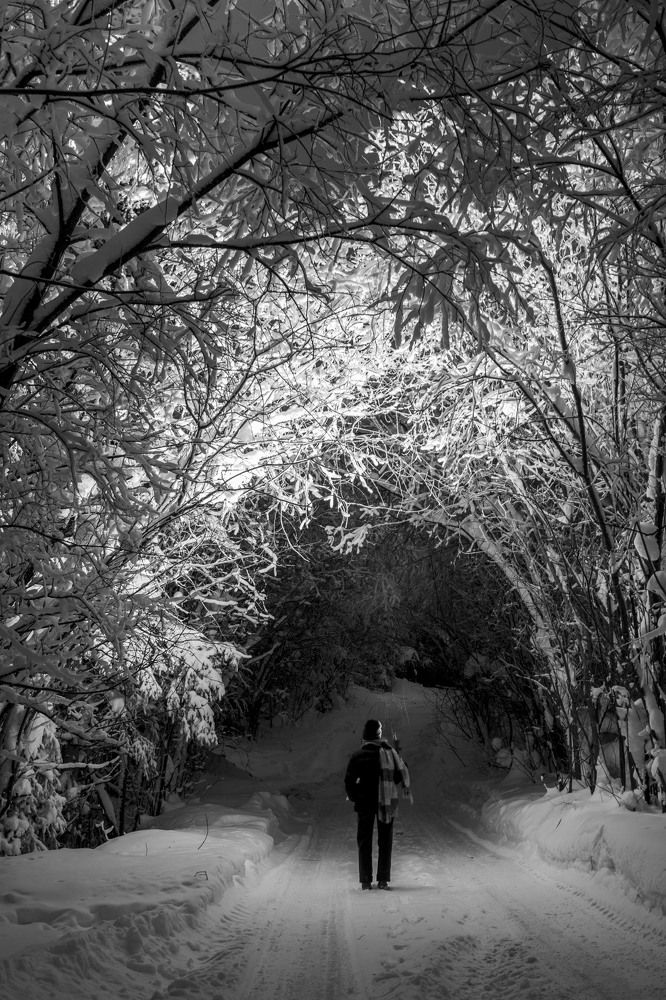 Однажды вечером