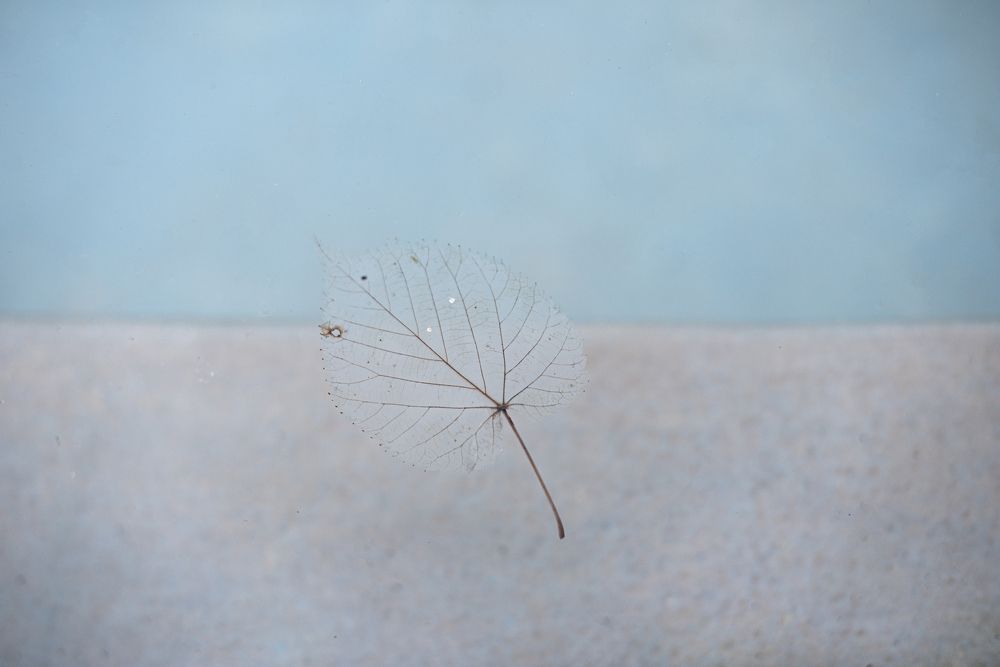 Photograph by Maria Mac lean