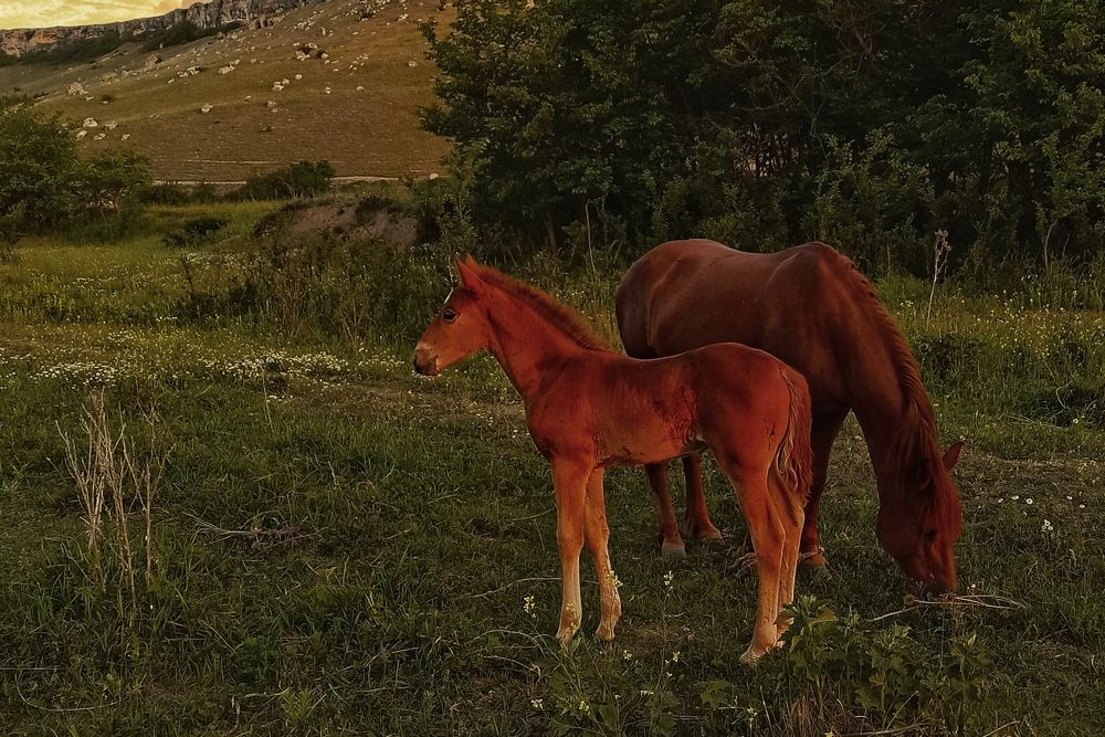 Photograph by Сергей Жигульский