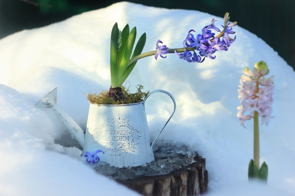 Photograph by Светлана Бузина