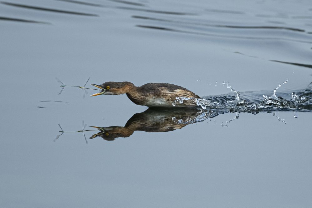 Photograph by Sameer Bhalekar