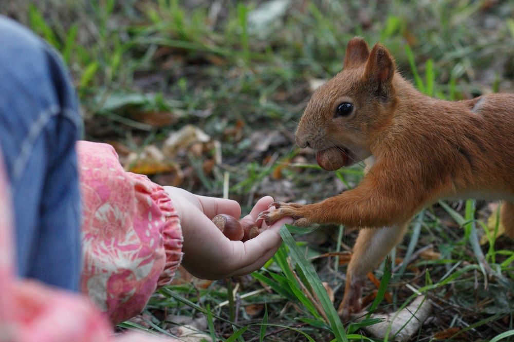 Фотография автора Татьяна Степанова