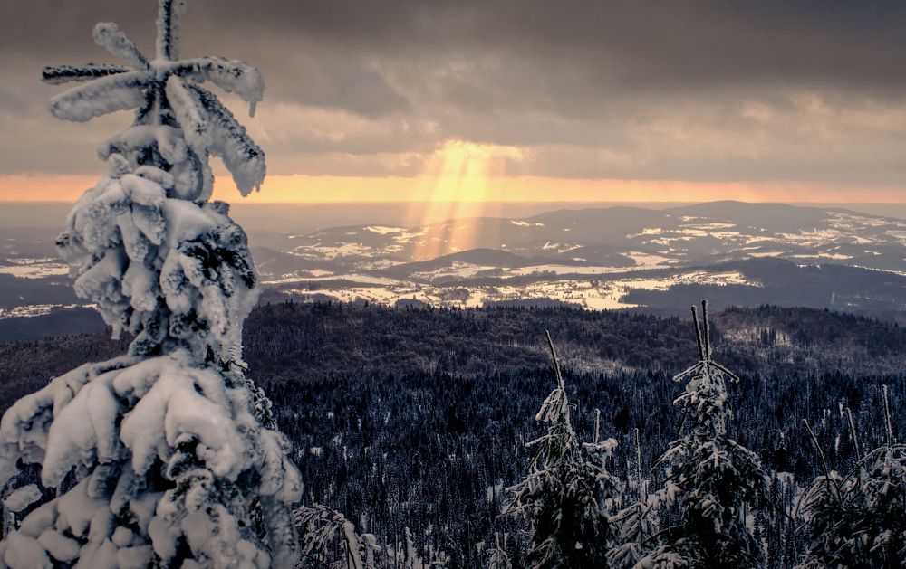 Photograph by Hannes Schwarz