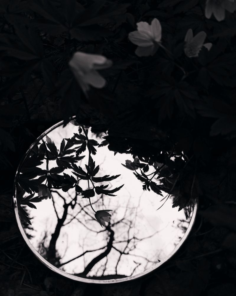 Photograph by Галина Мицевич