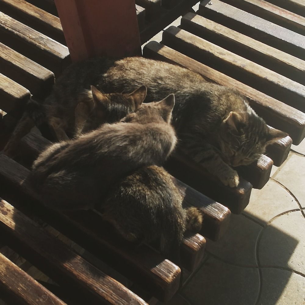 Photograph by Лузан Егор