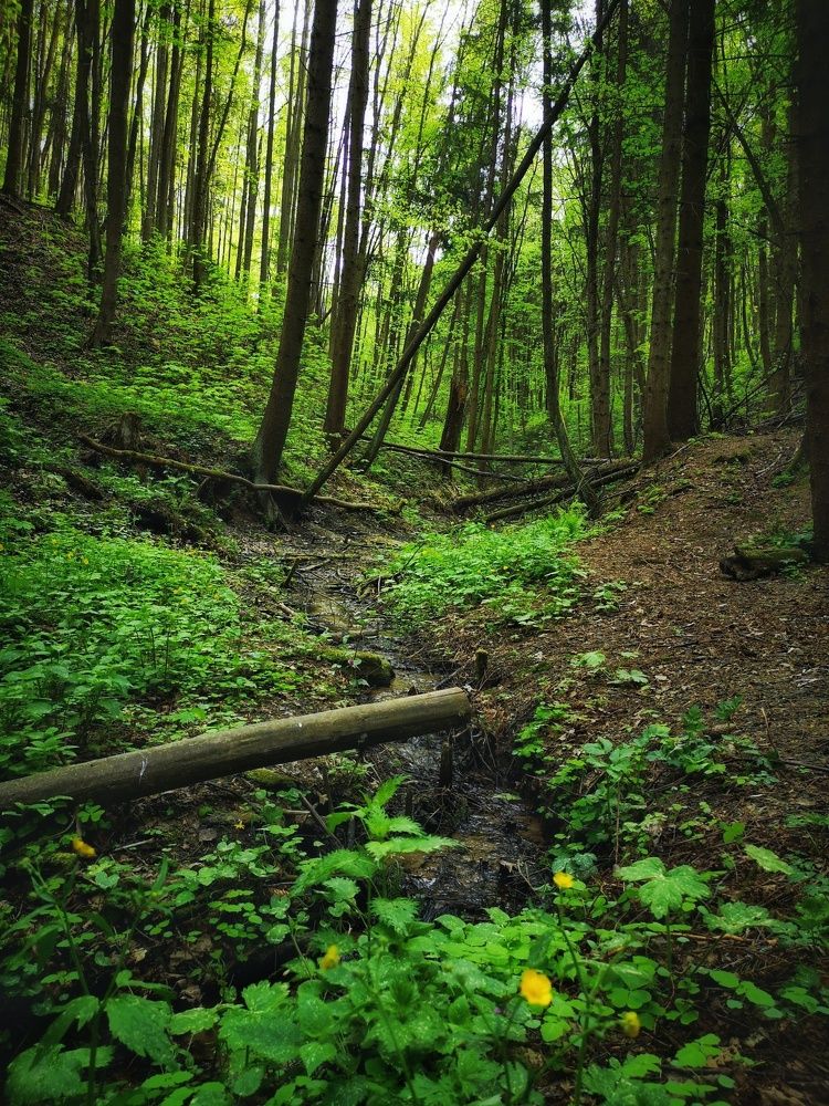 Photograph by Екатерина