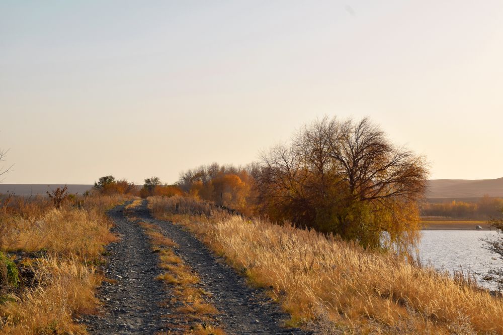 Photograph by Татьяна Дорожко