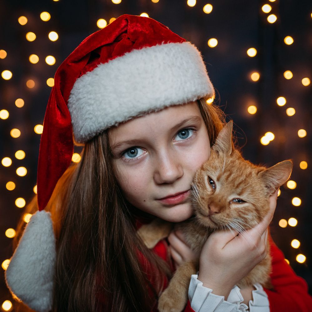 Photograph by Бедряк Юлия