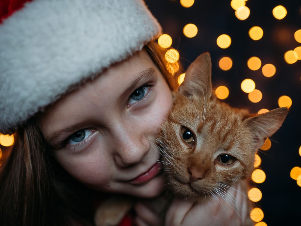 Photograph by Бедряк Юлия