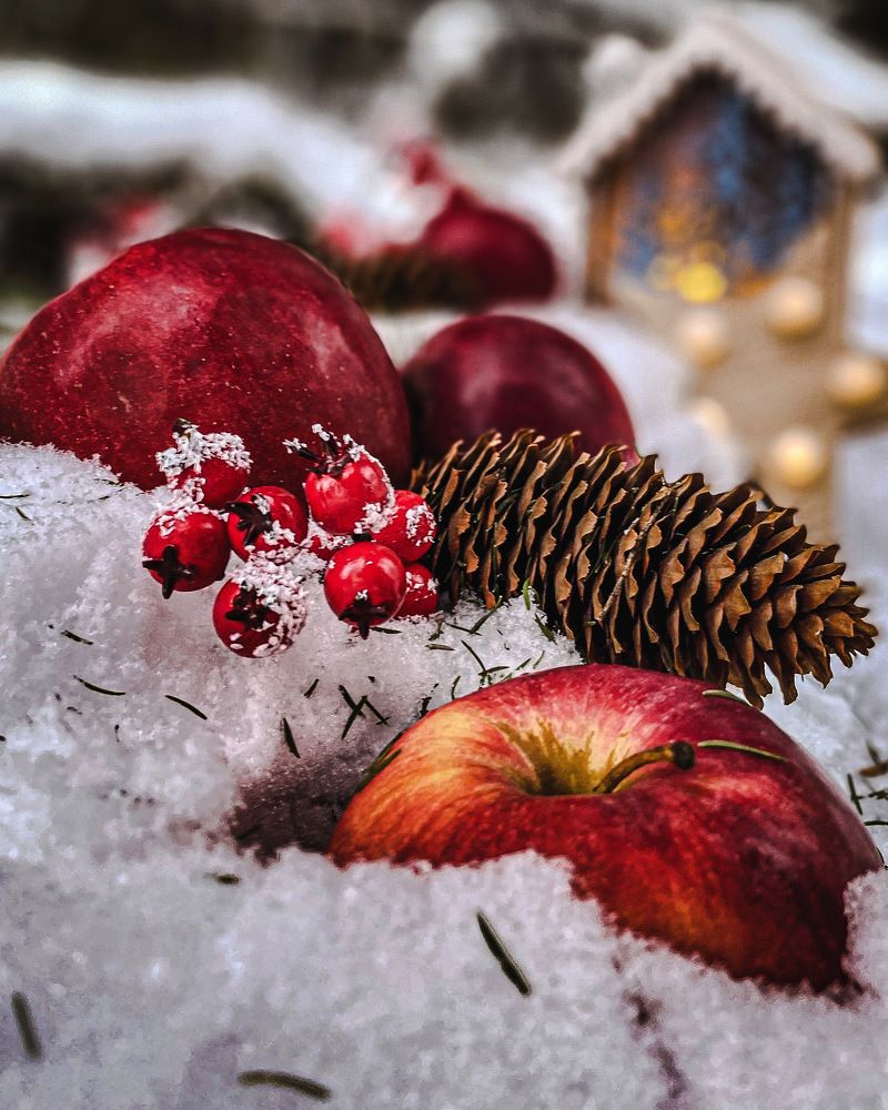 Photograph by Кристина Михайлова