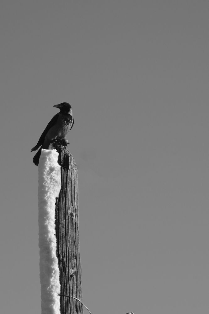 Photograph by Gor Yeghoyan