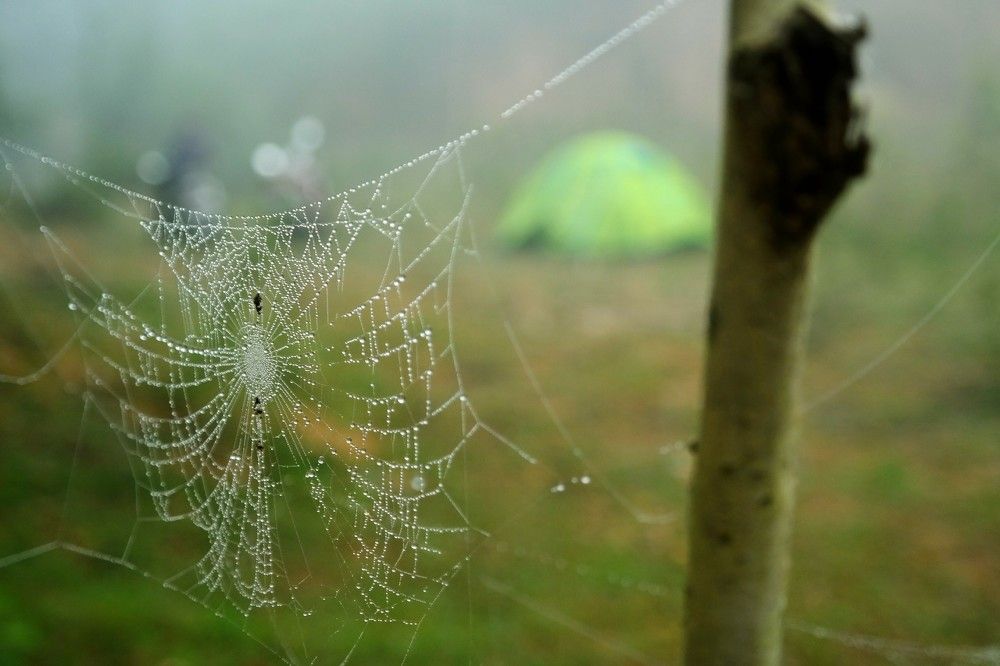 Photograph by Arkadii Dodoka