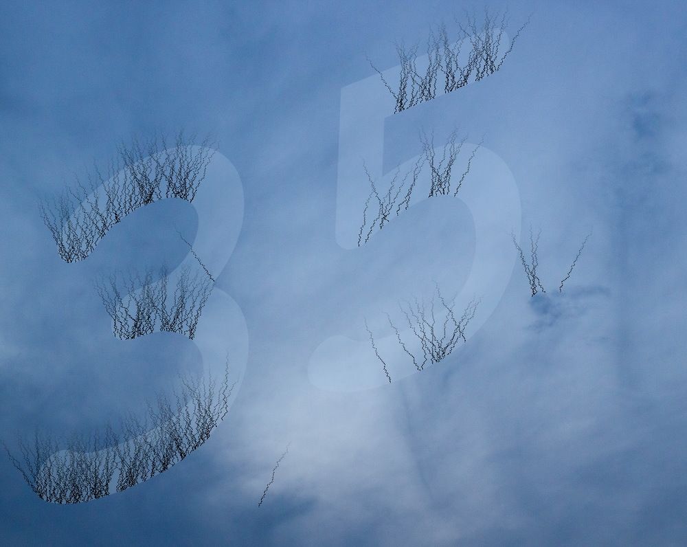 Photograph by Елена Миронова