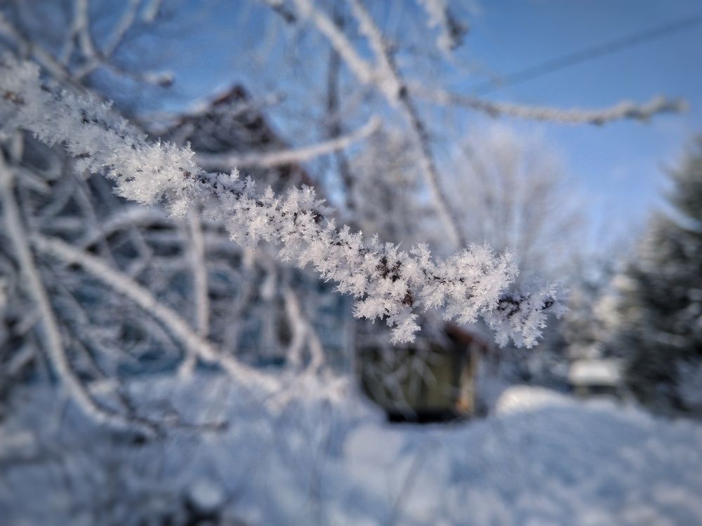 Фотография автора Виктор Конев