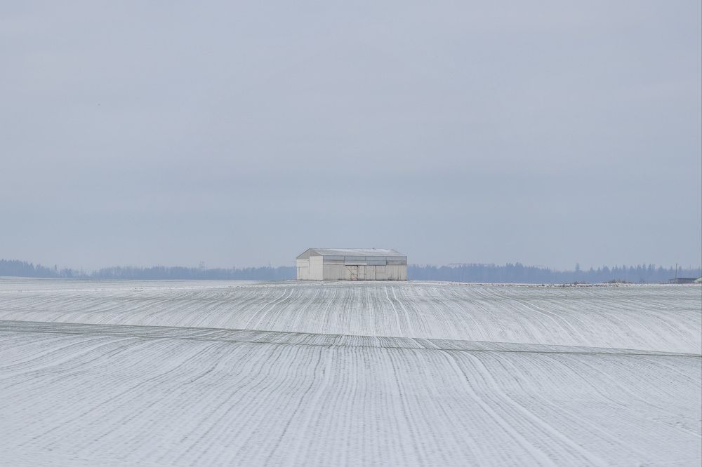 Фотография автора Ольга Никанович