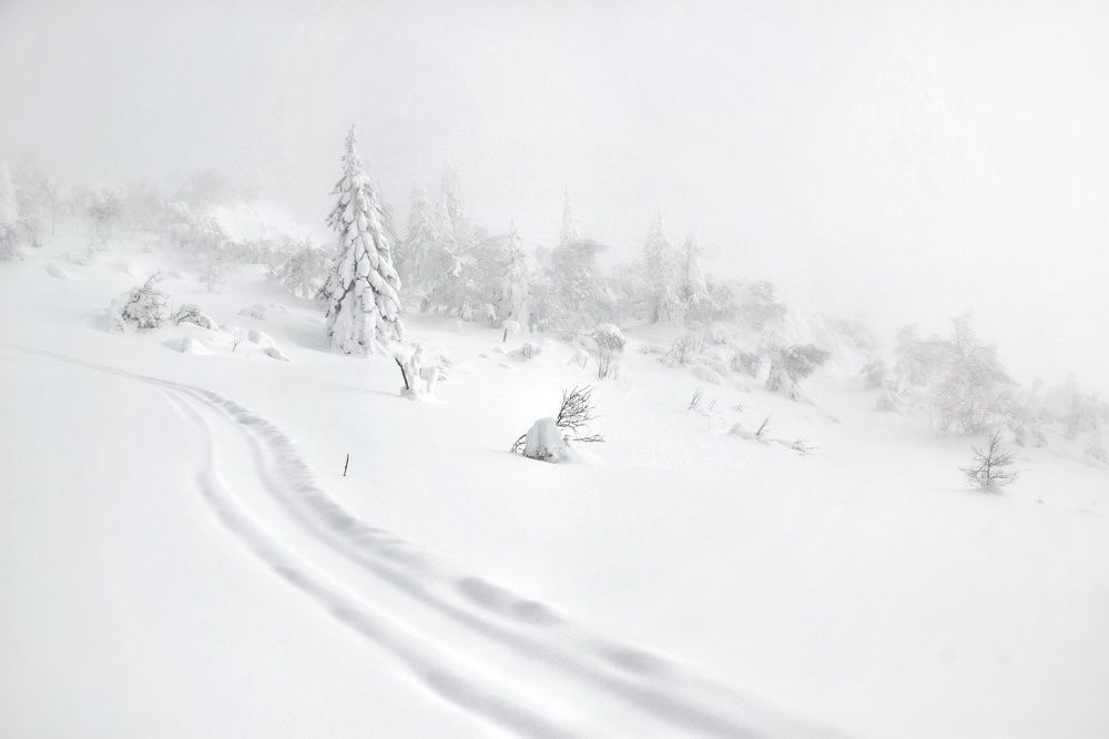 Photograph by Виктория Байкова