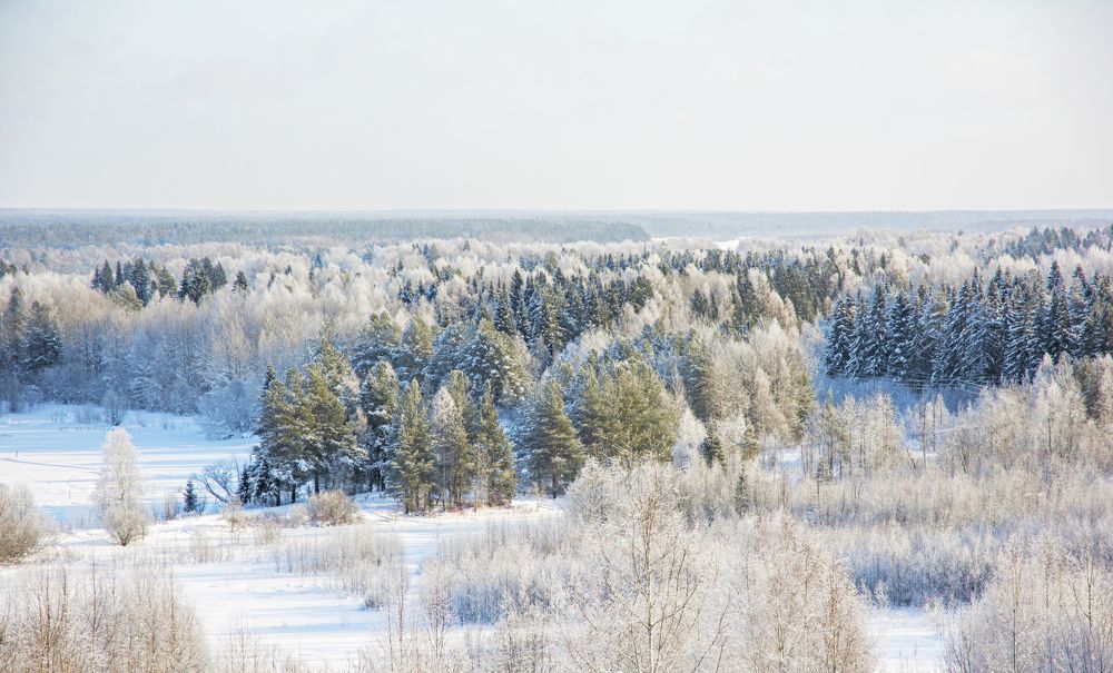 Photograph by Светлана Чебыкина