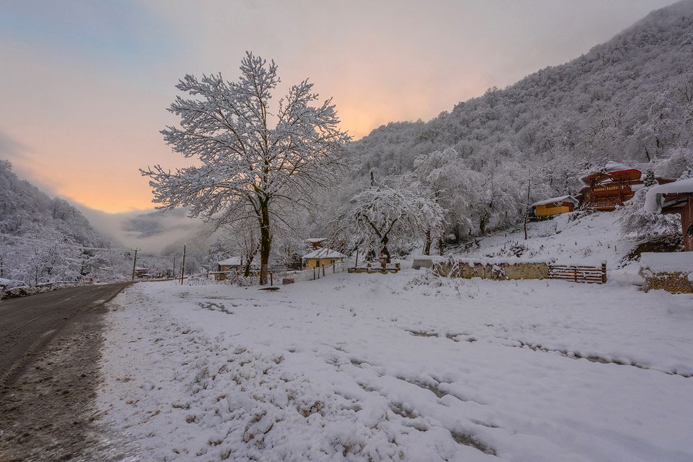 Фотография автора Farhad Alidost