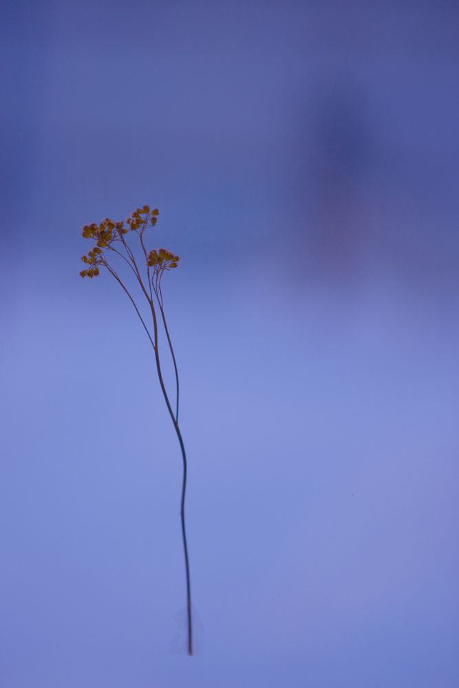 Photograph by Олеся Парфенова