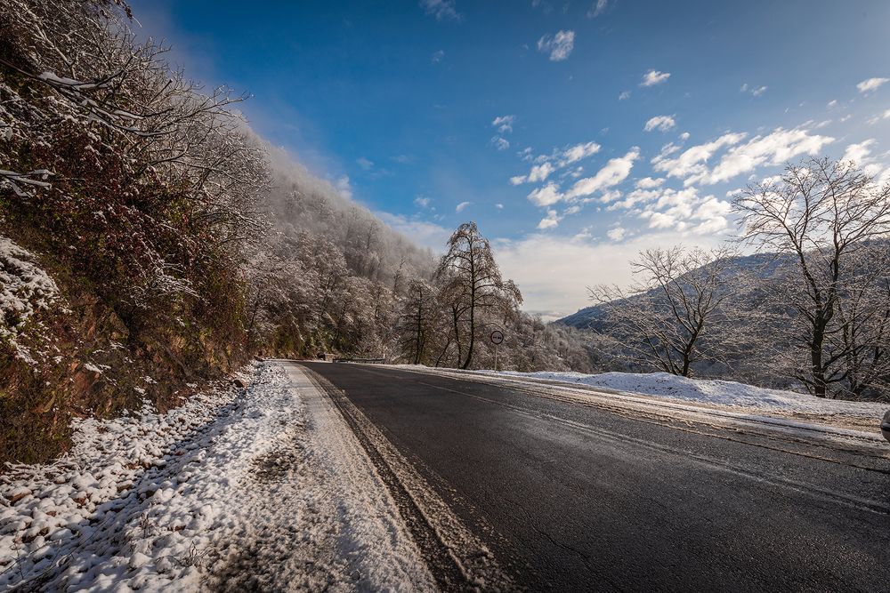 Фотография автора Farhad Alidost