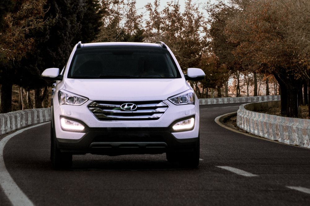 Фотография автора Abbas Ahmadi