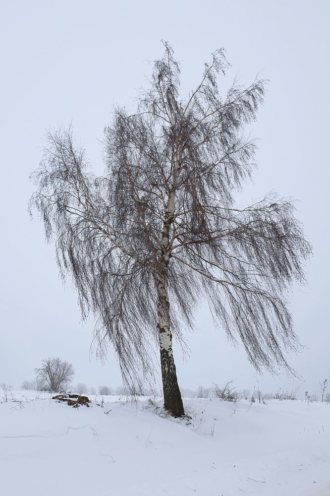 Photograph by Marcin Sokolowski - maarew