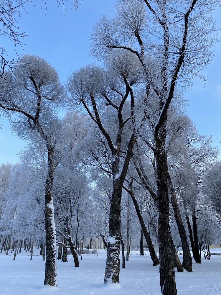 Photograph by Марина Танаева