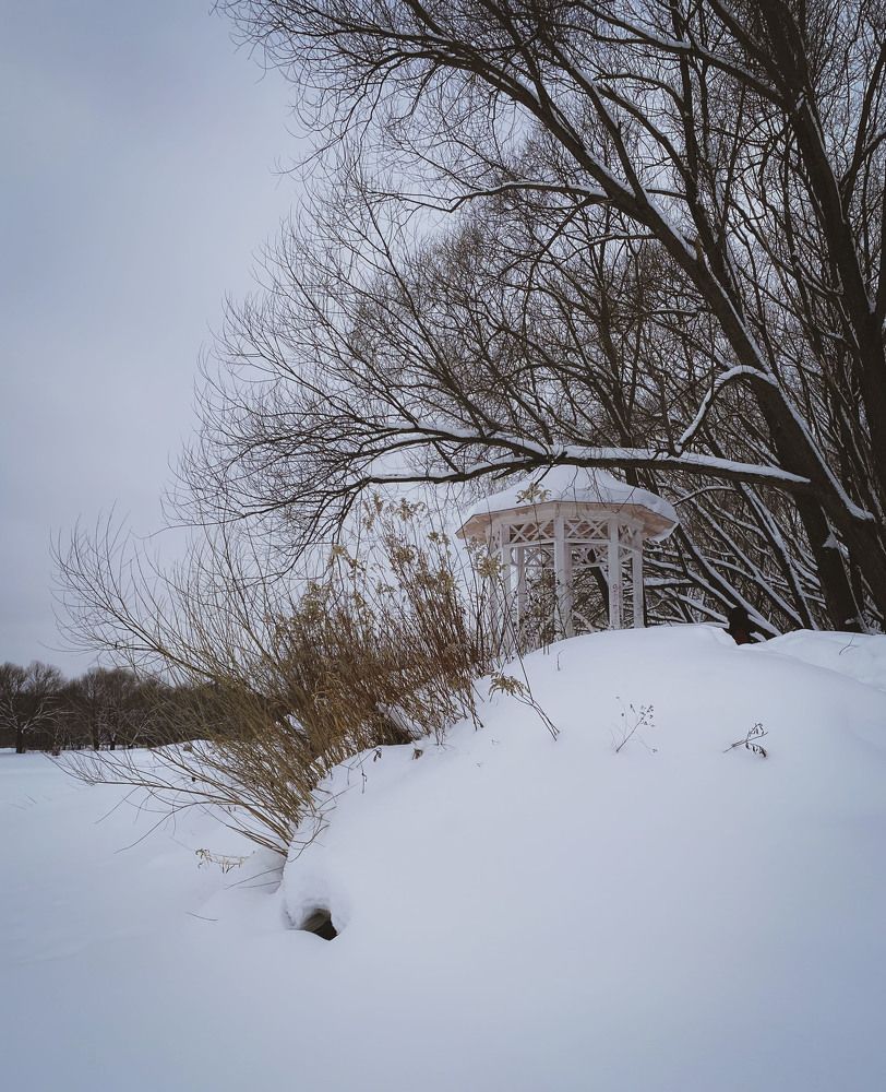 Photograph by Анна Панеева