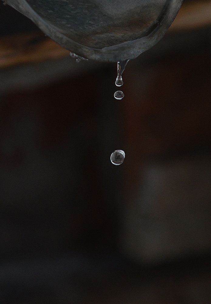 Photograph by Алексей Volg