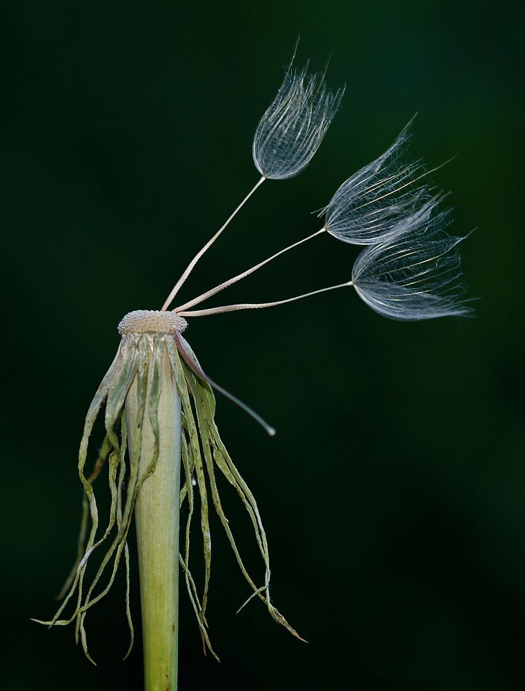 Photograph by Igor Ryzhov