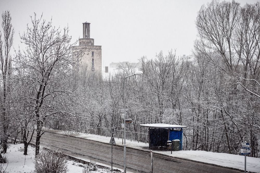 Photograph by Radoslav Bonev